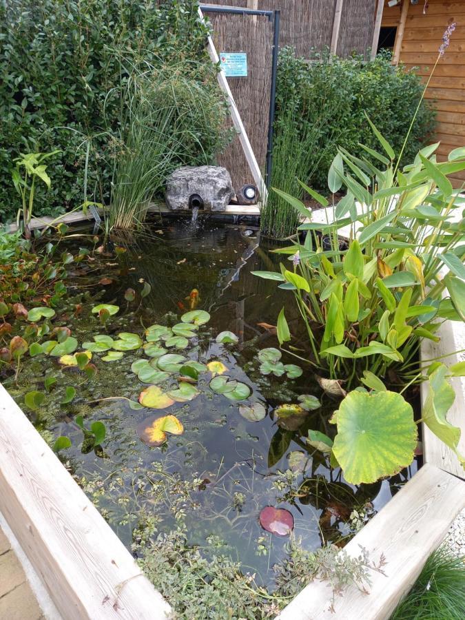 Appartement 3 Eme Etage Avec Piscine Partagee Sedan Exterior foto